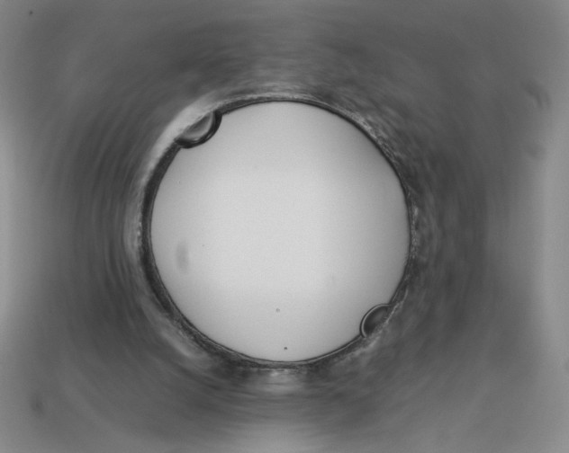 X0000113350056200910131248