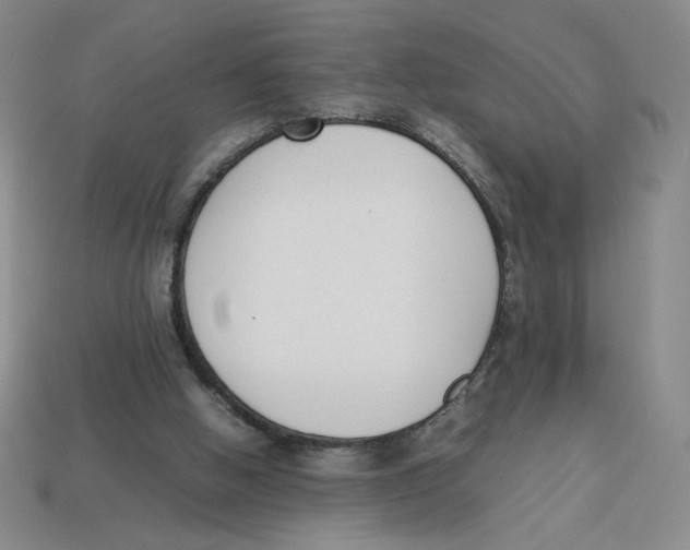 X0000113350058200910131248