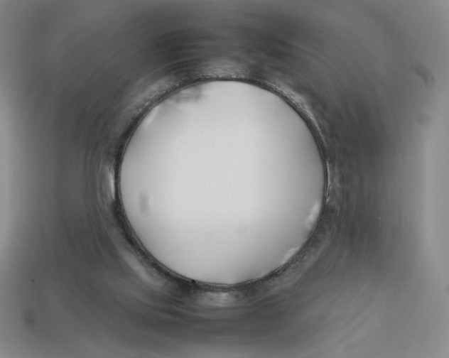X0000113350061200910131248