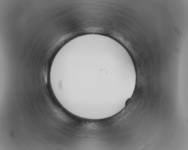 X0000113350062200910131248