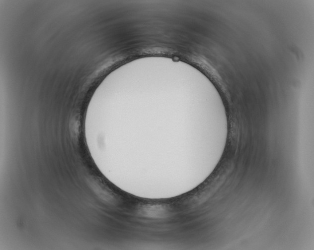 X0000113350063200910131248