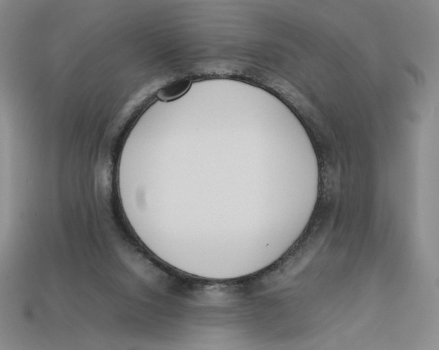 X0000113350064200910131248