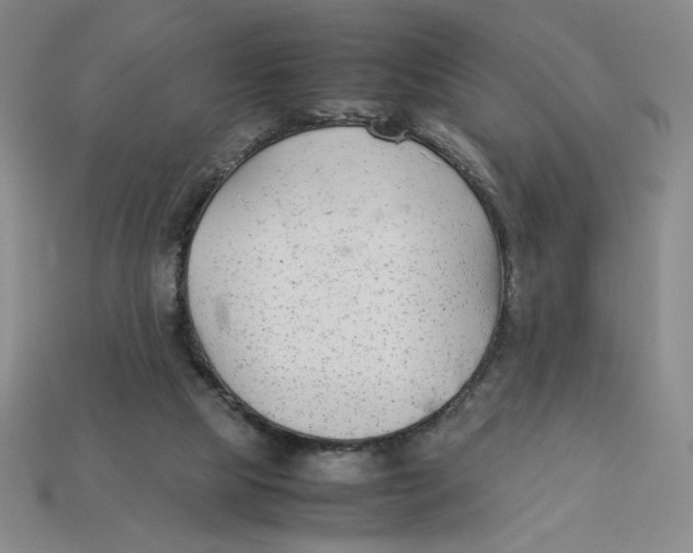 X0000113350065200910131248