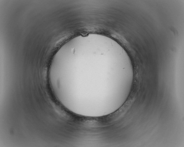 X0000113350066200910131248