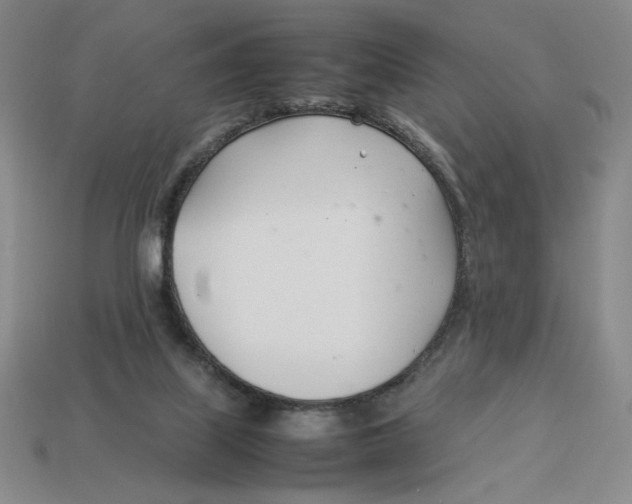 X0000113350067200910131248