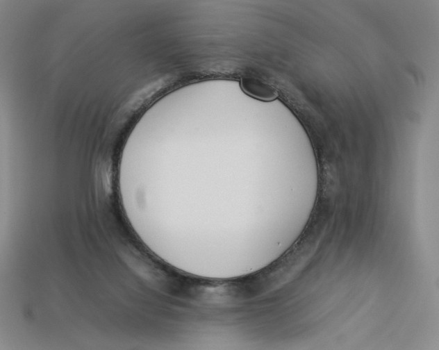 X0000113350068200910131248