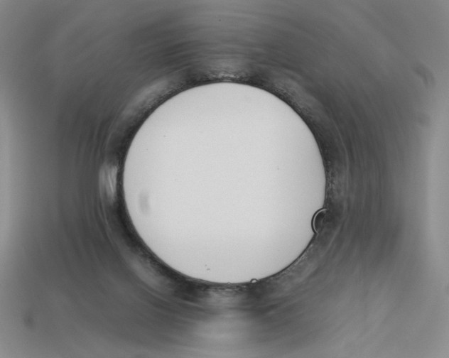 X0000113350070200910131248