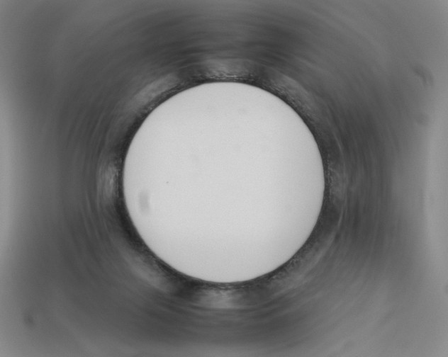 X0000113350071200910131248