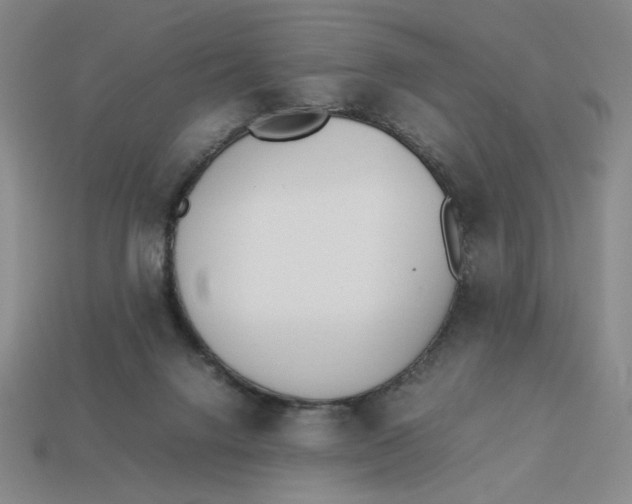 X0000113350072200910131248