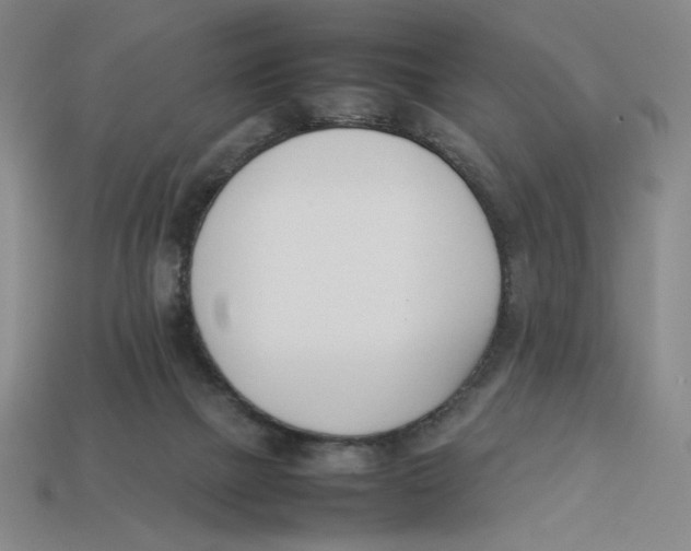 X0000113350073200910131248