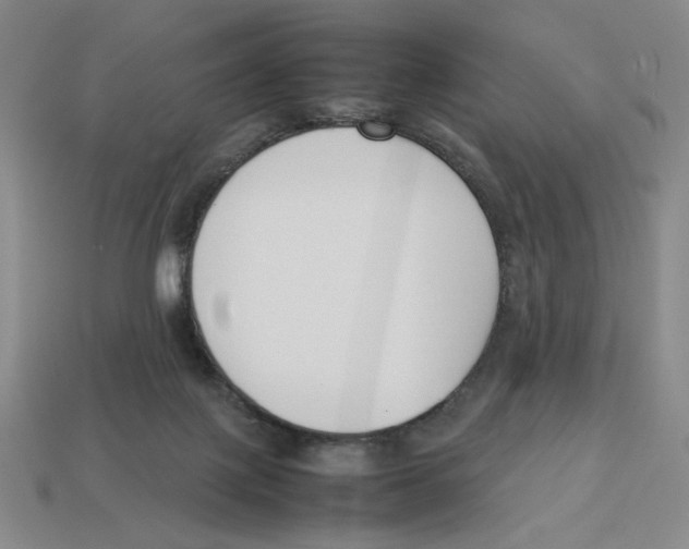 X0000113350075200910131248