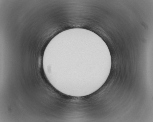 X0000113350076200910131248