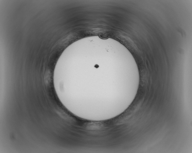 X0000113350077200910131248