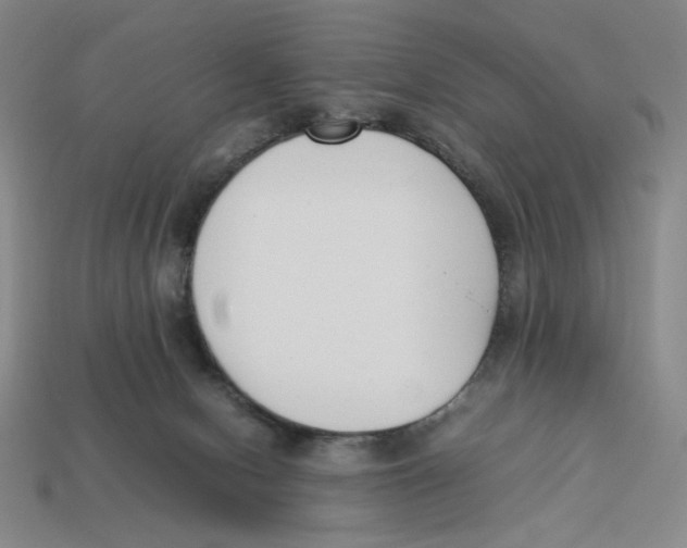 X0000113350078200910131248