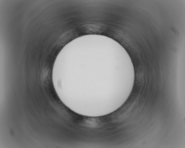 X0000113350079200910131248