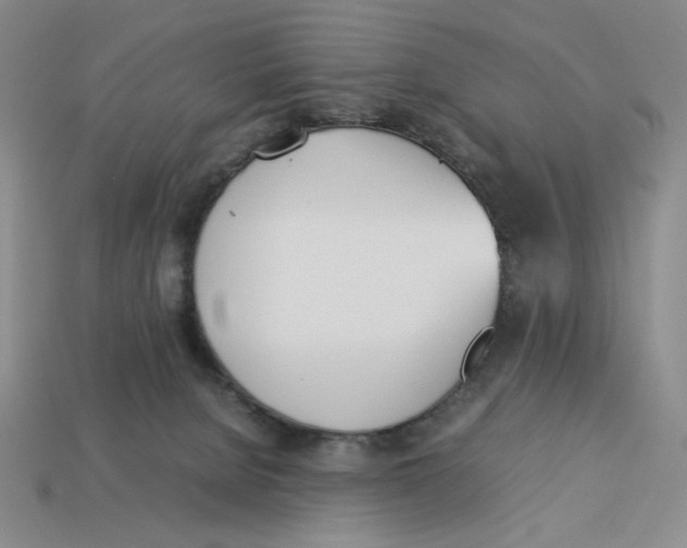 X0000113350080200910131248