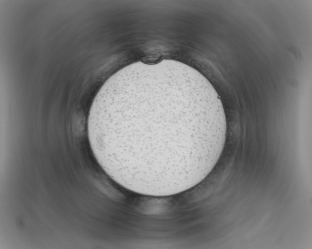 X0000113350081200910131248