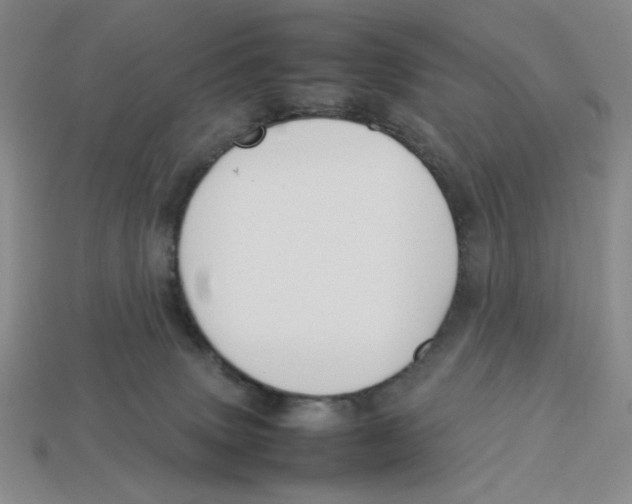 X0000113350083200910131248