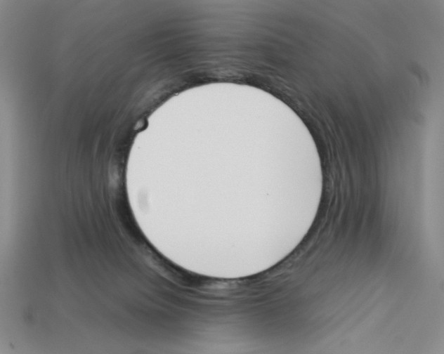 X0000113350084200910131248