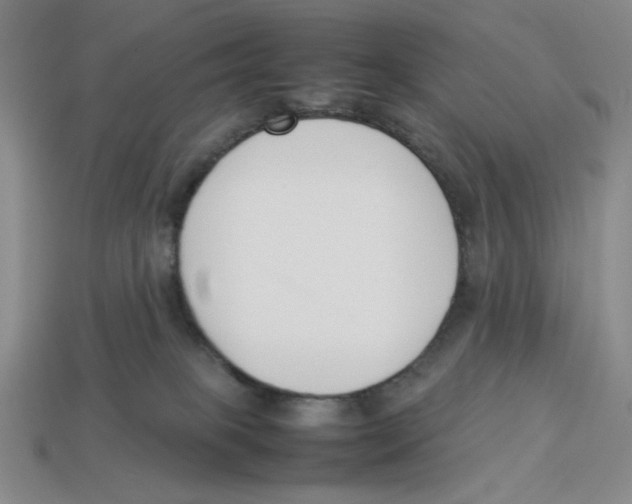X0000113350085200910131248