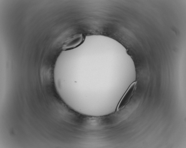 X0000113350088200910131248