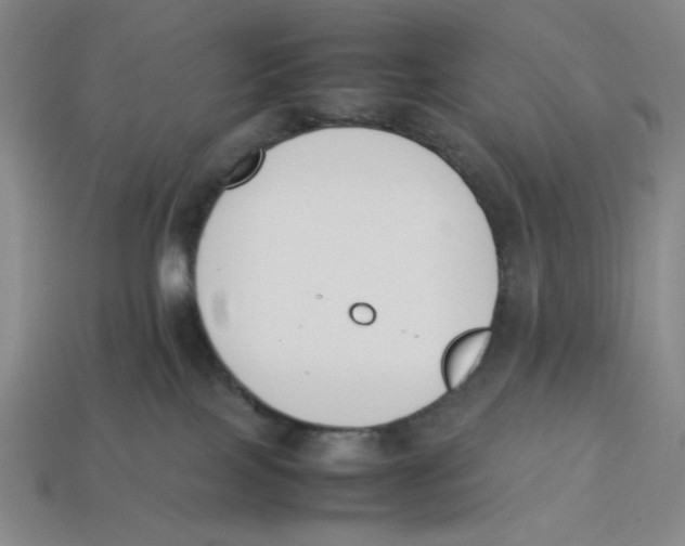X0000113350089200910131248