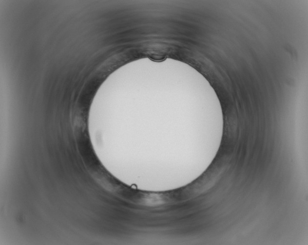 X0000113350091200910131248