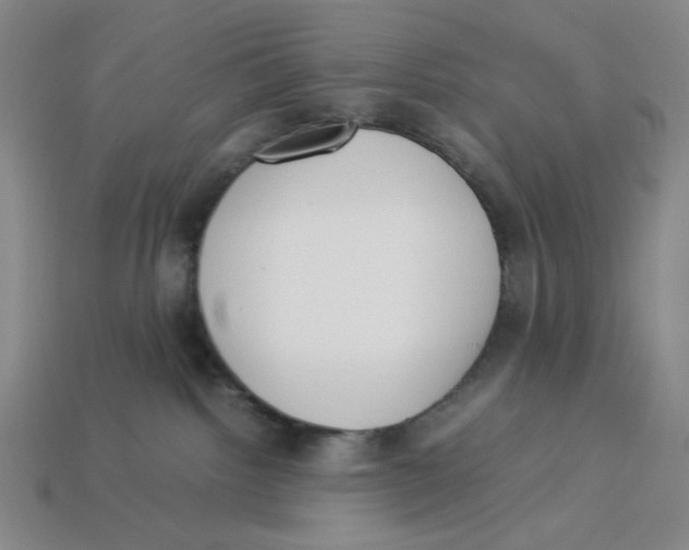 X0000113350092200910131249