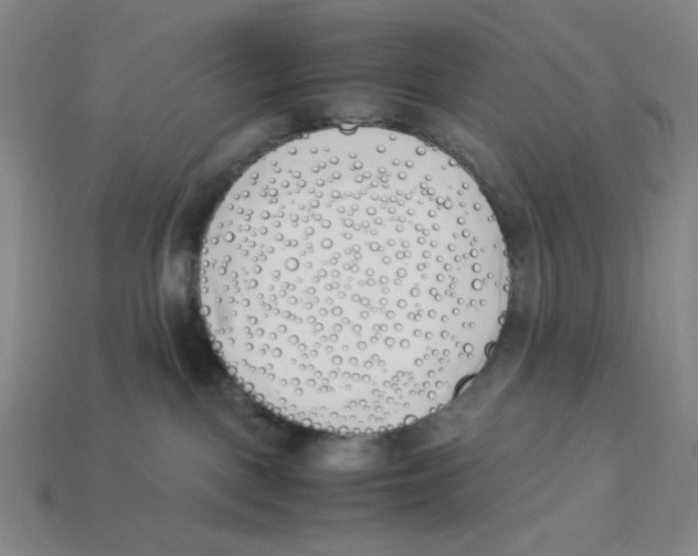 X0000113350093200910131249