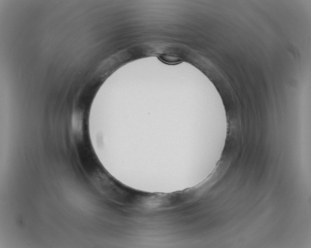 X0000113350094200910131249