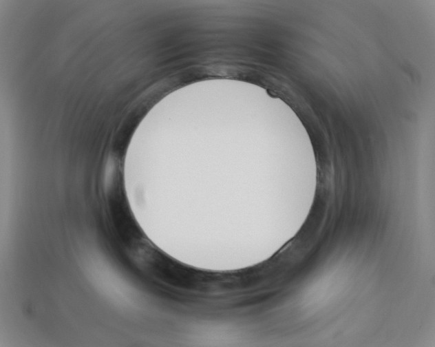 X0000113350095200910131249