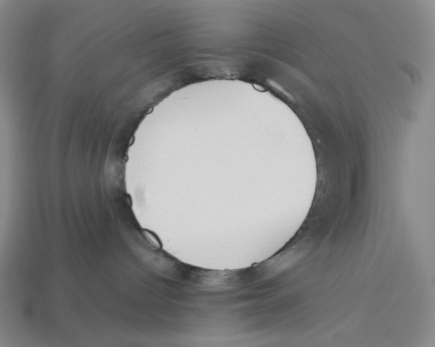 X0000113350096200910131249