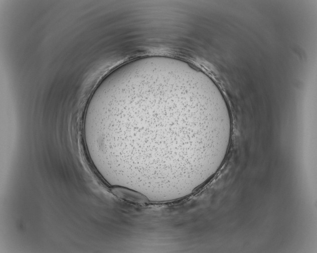 X0000113350097200910131248