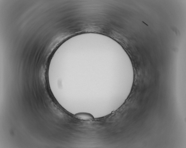 X0000113350098200910131248