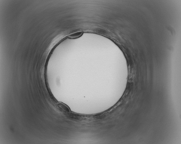 X0000113350099200910131248