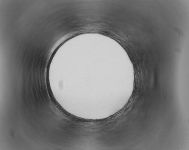 X0000113350100200910131248