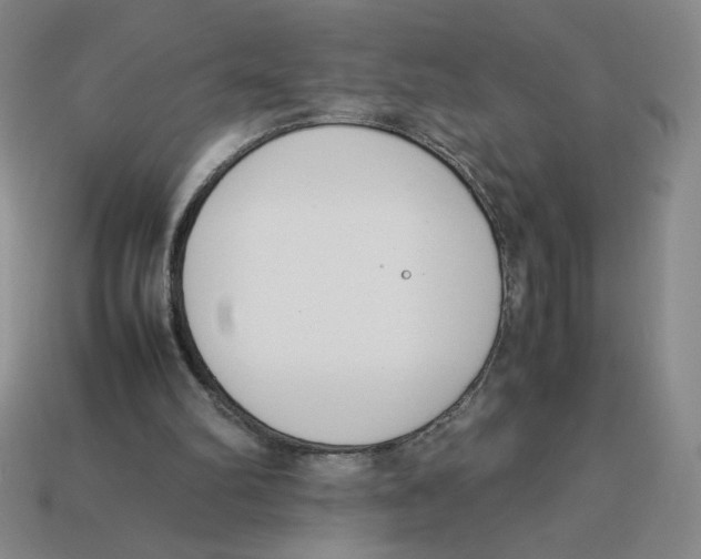 X0000113350102200910131248