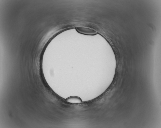 X0000113350103200910131248