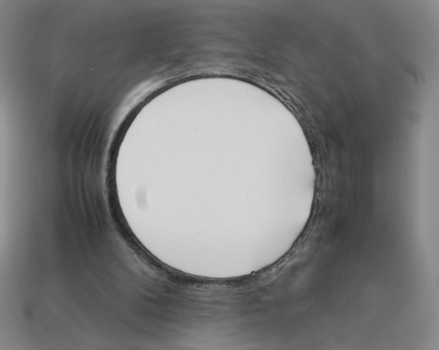 X0000113350104200910131248