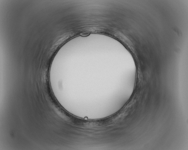 X0000113350105200910131248