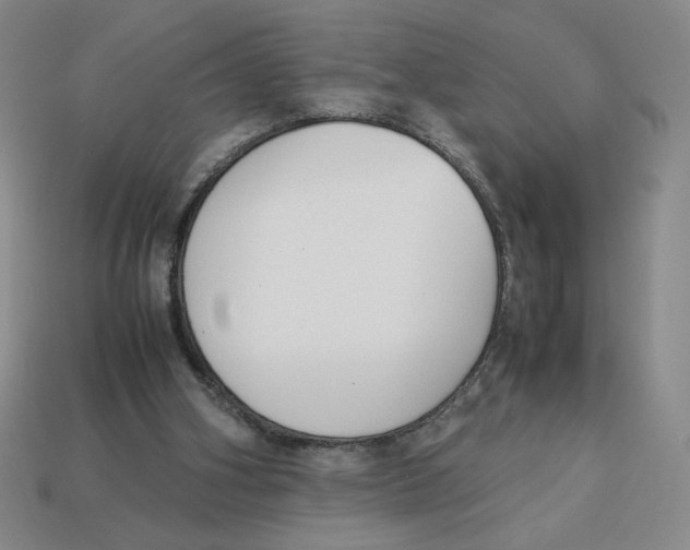 X0000113350106200910131248