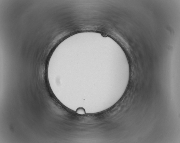 X0000113350107200910131248