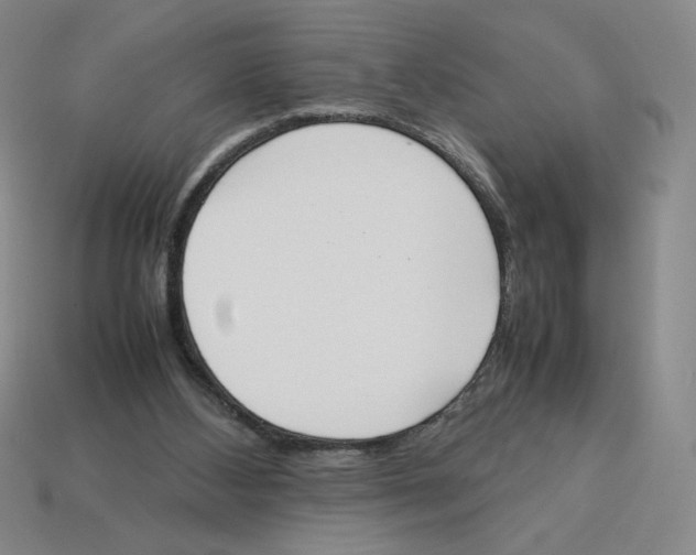 X0000113350108200910131248