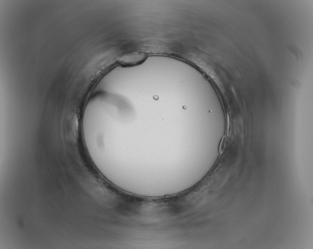 X0000113350109200910131248