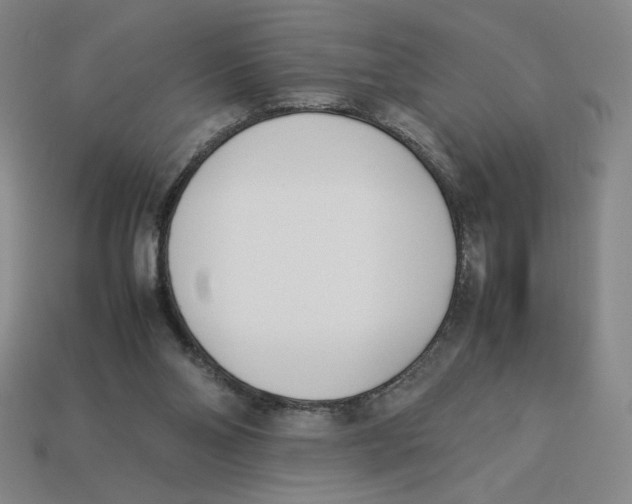 X0000113350110200910131248