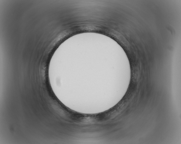 X0000113350111200910131248