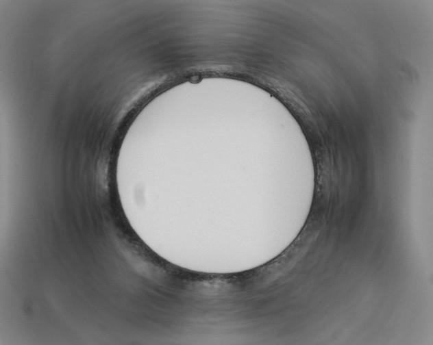 X0000113350112200910131248