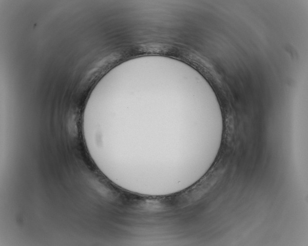 X0000113350114200910131248