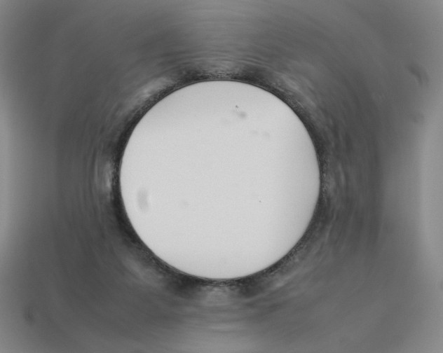 X0000113350115200910131248