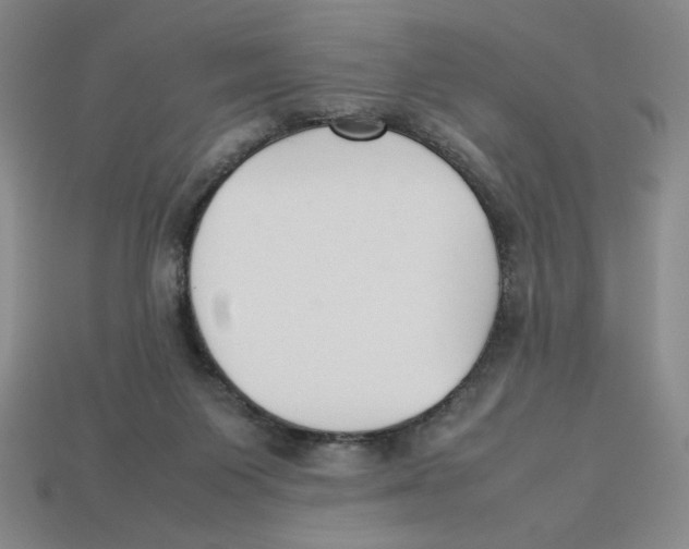 X0000113350119200910131247